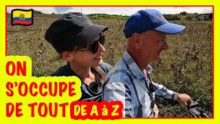 Miniature : S’expatrier en Équateur 🇪🇨 : notre accompagnement complet (terrains, visas, démarches) (213)