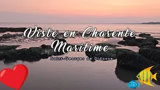 Miniature : #06 La Charente Maritime 2025, détente & découverte