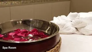 Miniature : AmaViola d’AmaWaterways : Croisière sur le Danube et les Plus Beaux Fleuves avec Voyages Aqua Terra