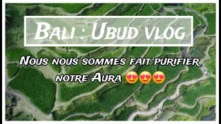 Miniature : Bali vlog  ubud 3