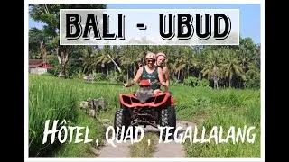 Miniature : BALI VOLG 2