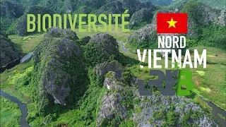 Miniature : Biodiversité VIETNAM nord 2025