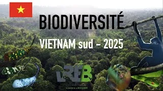 Miniature : Biodiversité VIETNAM sud 2025
