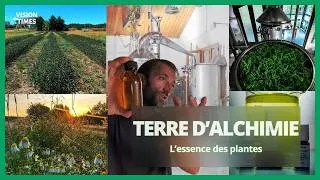 Miniature : TERRE D'ALCHIMIE L'essence des plantes