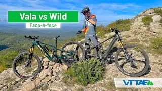 Miniature : Face-à-face vidéo – Orbea Wild et Santa Cruz Vala