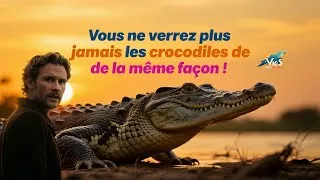 Miniature : Le Crocodile : Survivant Millénaire des Marécages | Documentaire