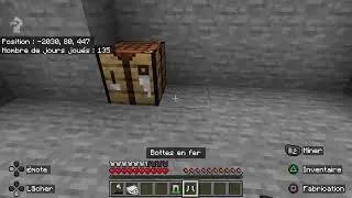 Miniature : Minecraft
