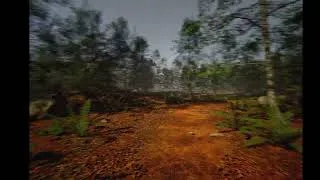 Miniature : Unreal Engine 5 - Simulation VHS réaliste dans une fôret