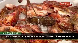 Miniature : Mozambique: la production halieutique en hausse de 1 % au premier trimestre 2026