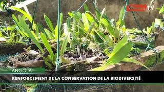 Miniature : Angola: le jardin botanique de l’UAN renforce la conservation de la biodiversité