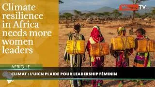 Miniature : Afrique: L’UICN plaide pour un leadership féminin renforcé dans les politiques climatiques