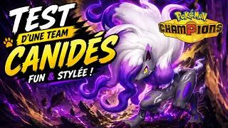 Miniature : L'équipe Doggo que personne n'attendait | Champions