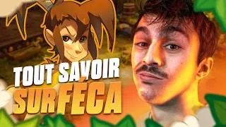 Miniature : TOUT SAVOIR SUR LE FECA de DOFUS RETRO