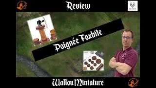 Miniature : Test poignée de peinture Foxbite