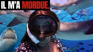 Miniature : J'ai survécu à une ATTAQUE de REQUIN aux Maldives