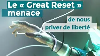 Miniature : Le « Great Reset » menace de nous priver de liberté avec Ronald Ernest Paul