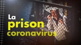 Miniature : La prison coronavirus