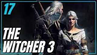 Miniature : Retrouvailles | The Witcher 3: Wild Hunt [PC] - Episode 17 #FR