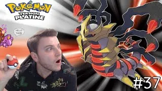 Miniature : WTF UN 2ÈME SHINY ??? - POKÉMON PLATINE #37