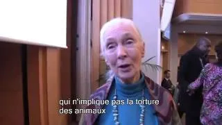 Miniature : Message de Jane Goodall à la jeunesse