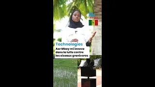 Miniature : Aar Mbay Mi : Elle crée un robot solaire qui sauve les récoltes au Sénégal