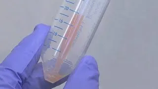 Miniature : Les HAP, un potentiel effet sur la fertilité ?