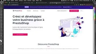 Miniature : Se lancer dans le e-Commerce ou DropShipping