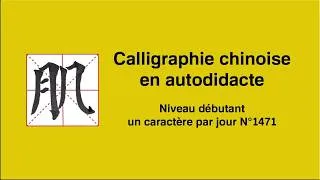 Miniature : Calligraphie chinoise un caractère par jour n°1471 肌