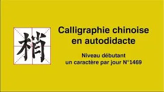 Miniature : Calligraphie chinoise un caractère par jour n°1469 梢