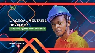 Miniature : L'agroalimentaire révélée : vers une agriculture durable.