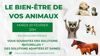 Miniature : Présentation d'un concept naturel pour les animaux