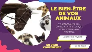 Miniature : Des Solutions naturelles pour nos amis les animaux. Nicole Durand, experte en bien-être naturel.