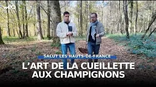 Miniature : On vous révèle nos coins à CHAMPIGNONS !