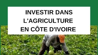 Miniature : INVESTIR DANS LE BUSINESS DE L'AGRICULTURE EN CÔTE D'IVOIRE