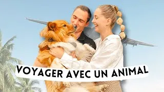 Miniature : 5 CONSEILS pour voyager avec son animal 🌎