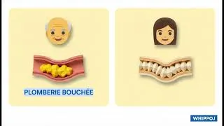 Miniature : HTA Rénovasculaire : Comprendre une cause cachée de l’hypertension artérielle