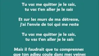 Miniature : Hélène Ségara - Tu vas me quitter