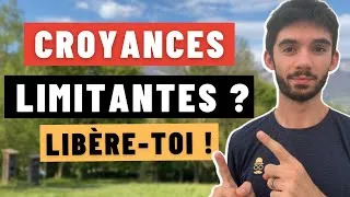 Miniature : Comment se libérer de ses croyances limitantes pour réussir  - la technique de l’éléphant braconné™️