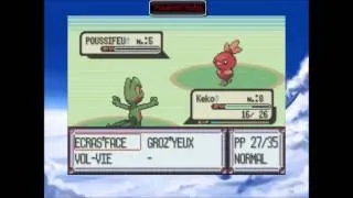 Miniature : #2-Notre Ami Timmy-Pokémon Rubis