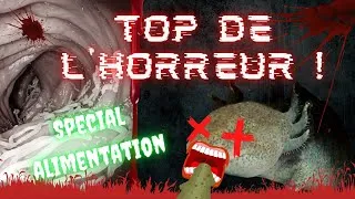 Miniature : #2 TOP DE L'HORREUR :  Les PIRES repas que tu puisse donner a tes AXOLOTLS !!!