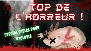 Miniature : #1 TOP DE L'HORREUR  : les pire sables pour ton bac a AXOLOTLS !!! NE FAIS JAMAIS CETTE ERREUR !!!!