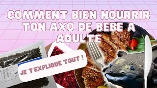 Miniature : Axo News #14 !!! BIEN NOURRIR TON AXOLOTL DE A a Z !!!