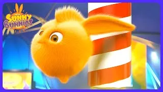 Miniature : Sunny Bunnies - Saut en hauteur défi fou ! 🐰 | Dessins Animés | WildBrain Coin Réconfort