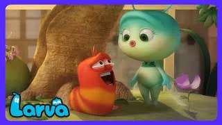 Miniature : Larva - L'amour est-il impossible ? 💔 | Dessins Animés | WildBrain Enfants