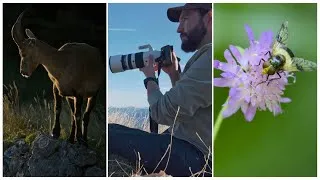 Miniature : MON NOUVEL OBJECTIF PRÉFÉRÉ POUR L’ANIMALIER