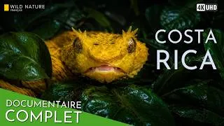 Miniature : PARADIS IMPLACABLE - La Bataille pour la Vie au Costa Rica | Documentaire Animalier