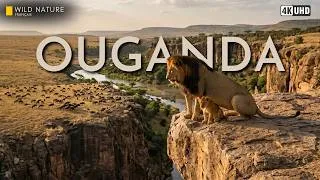 Miniature : OUGANDA SAUVAGE - La Force, l'Instinct et les Lois de la Nature Africaine | Documentaire Animalier