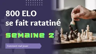 Miniature : Echec - 800 ELO qui veut progresser mais qui arrive pas  - Semaine 2