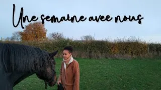 Miniature : Une semaine chill avec nous Weekly vlog chat, chien, cheval #equestrian