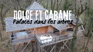 Miniature : Dolce et Cabane - palaces dans les arbres